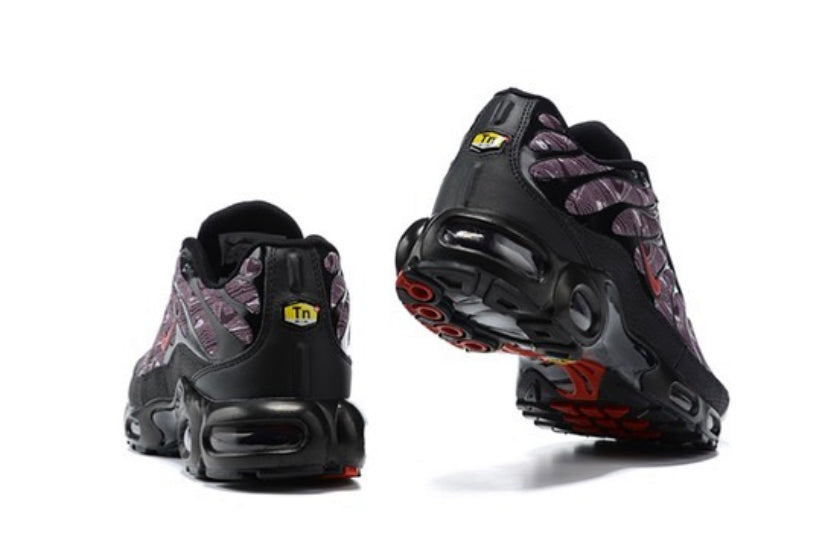Air Plus TN Topography Pack